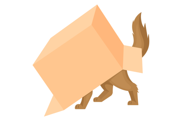 Cat in Paper Box. Playful Pet. Funny Ani: A Designer’s Real-Use Review