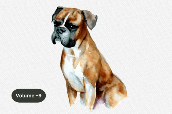 h1Boxer Dog Watercolor Clipart Png Review for Real Embroidery Projects/h1